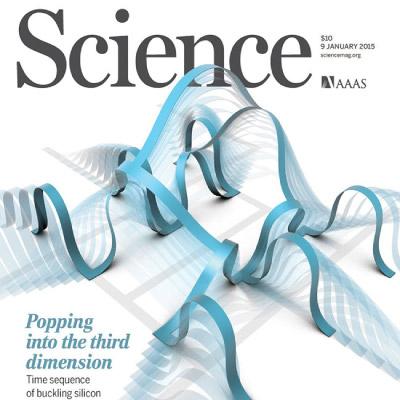 Wearable Bioelectronic Interfaces