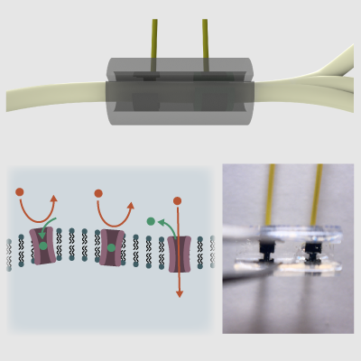 Selective Peripheral Neuro-modulation with Iontronic Materials